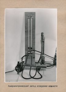 Blatt 19