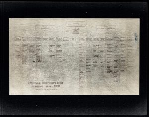 Organisationsdiagramm des NEF, Stand: 1. Juni 1946