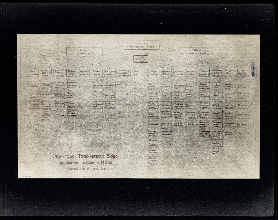 Organisationsdiagramm des NEF, Stand: 1. Juni 1946